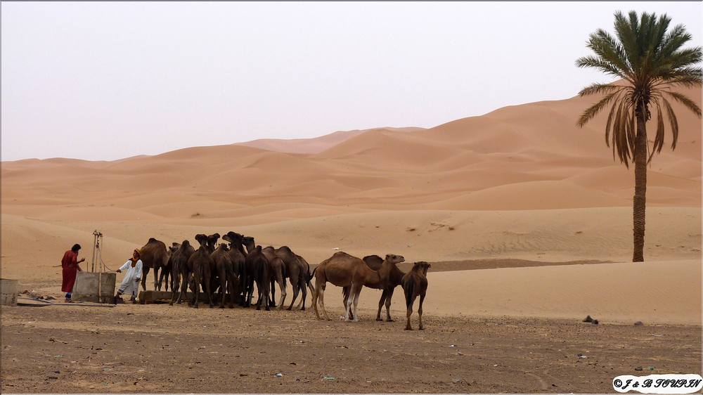 Merzouga - pied du massif dunaires de lerg Chebbi.